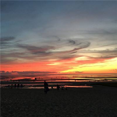 pg棋牌软件平台app下载